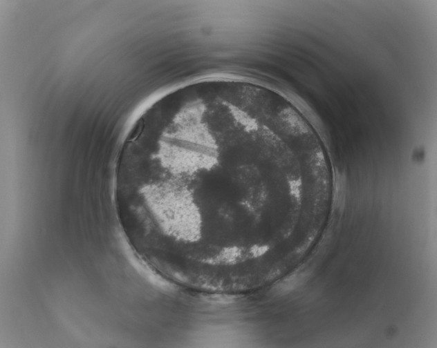 X0000111640862200908141405