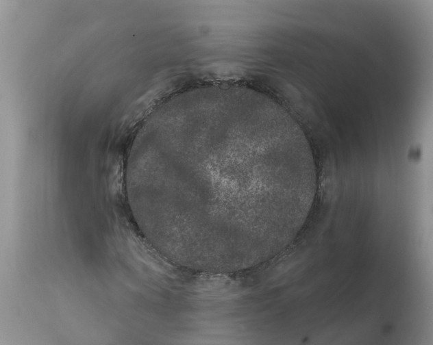 X0000111640866200908141405
