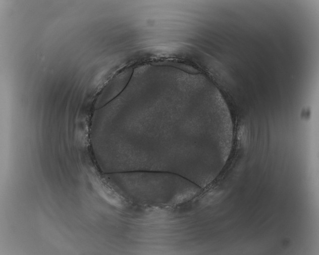X0000111640868200908141405