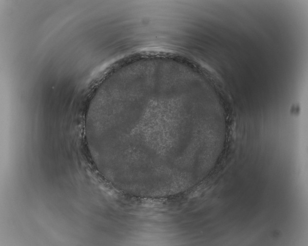 X0000111640870200908141405