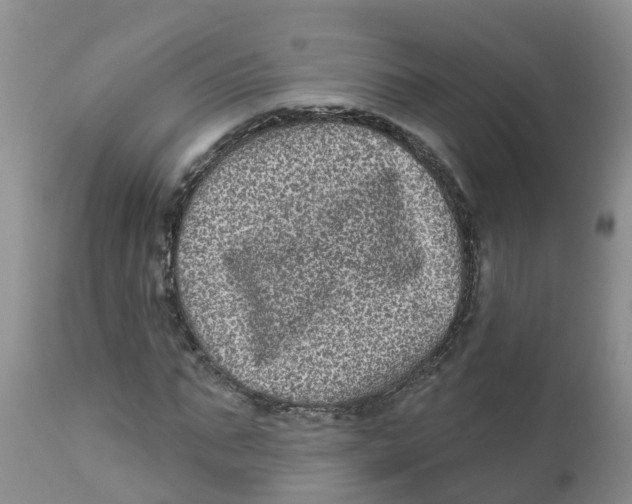X0000111640871200908141405