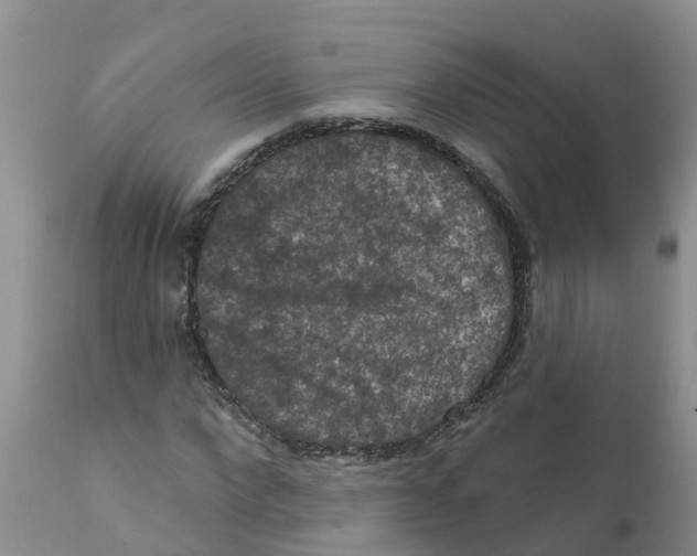 X0000111640872200908141404