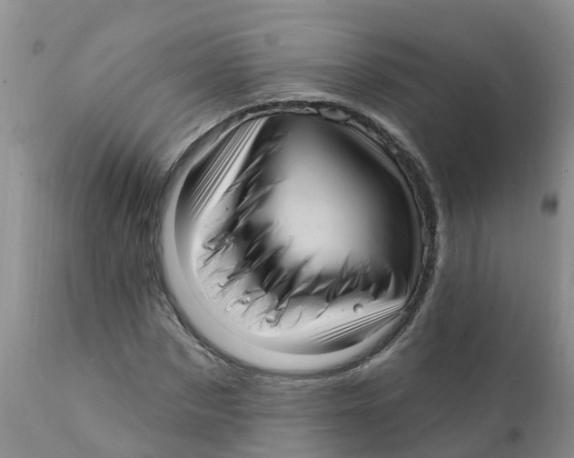 X0000111640873200908141404