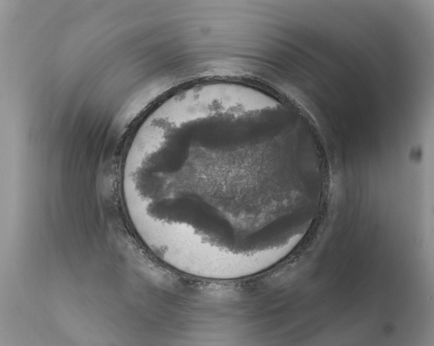 X0000111640874200908141404