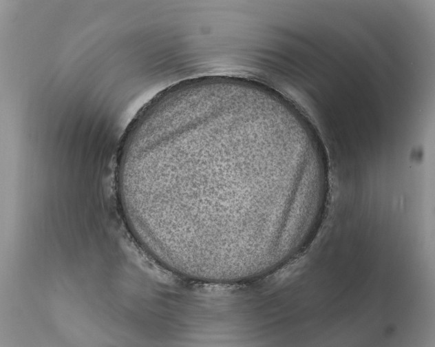 X0000111640875200908141404