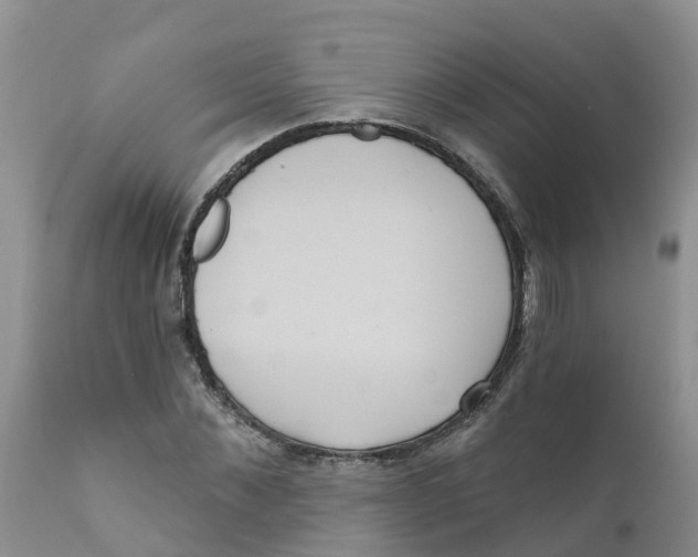 X0000111640876200908141404