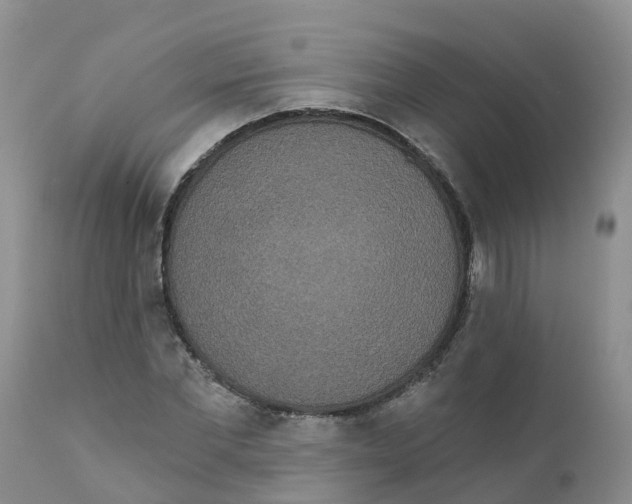X0000111640877200908141404
