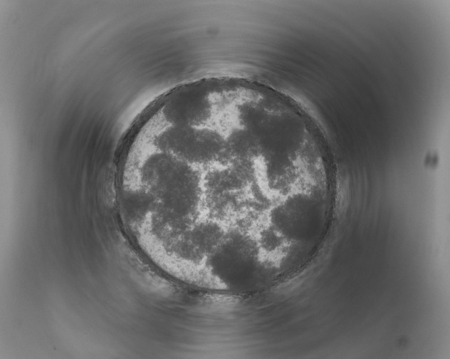 X0000111640878200908141404