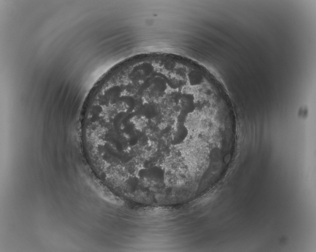 X0000111640879200908141404