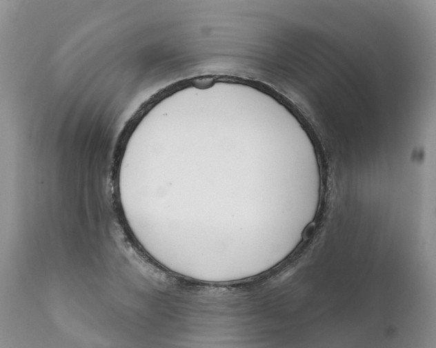 X0000111640880200908141404