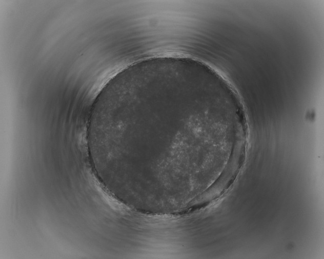 X0000111640881200908141404