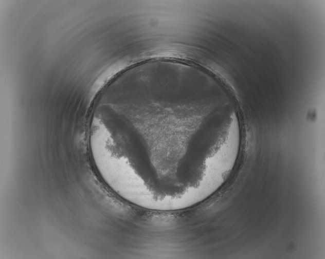 X0000111640882200908141404