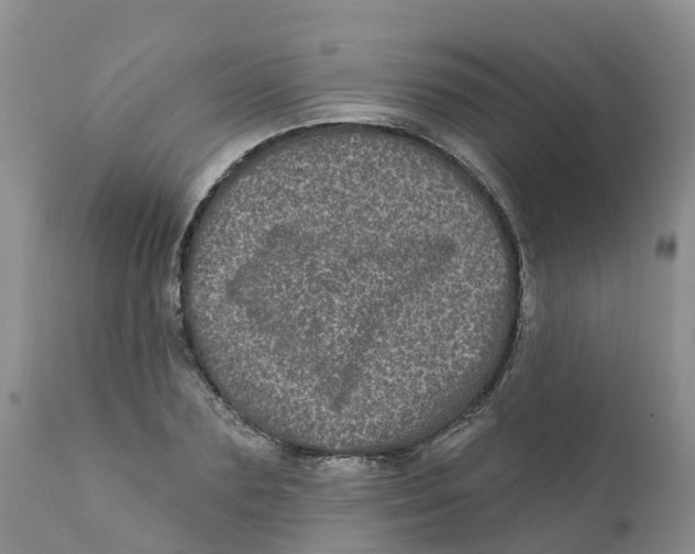 X0000111640883200908141404