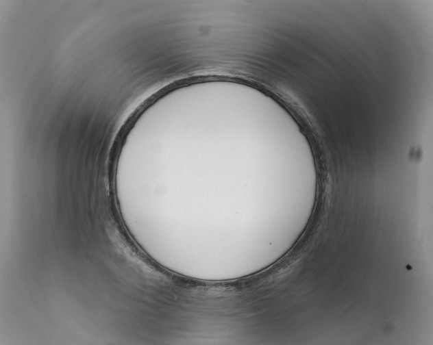 X0000111640884200908141404