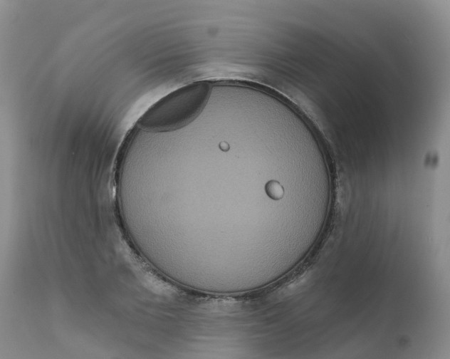 X0000111640885200908141404