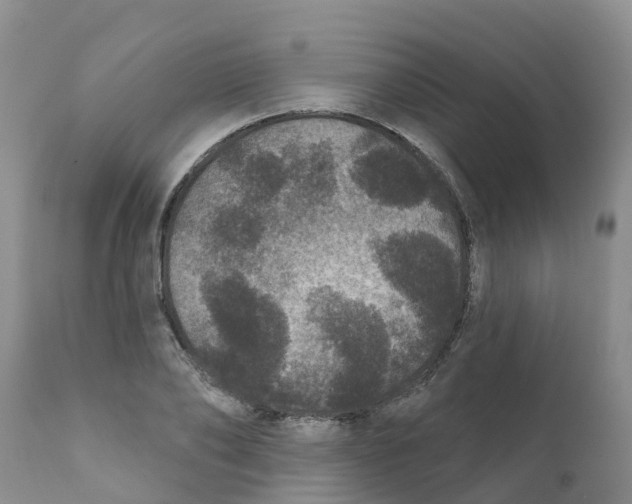 X0000111640886200908141404