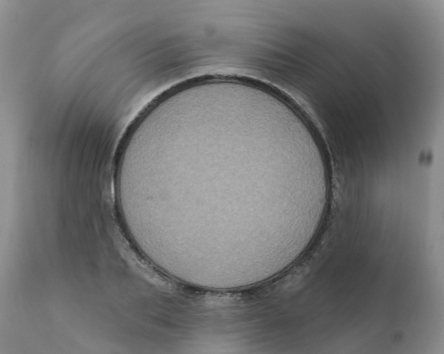 X0000111640887200908141404