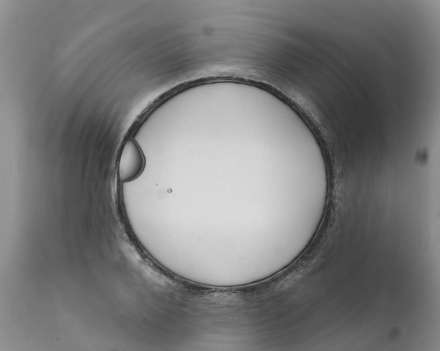 X0000111640888200908141404