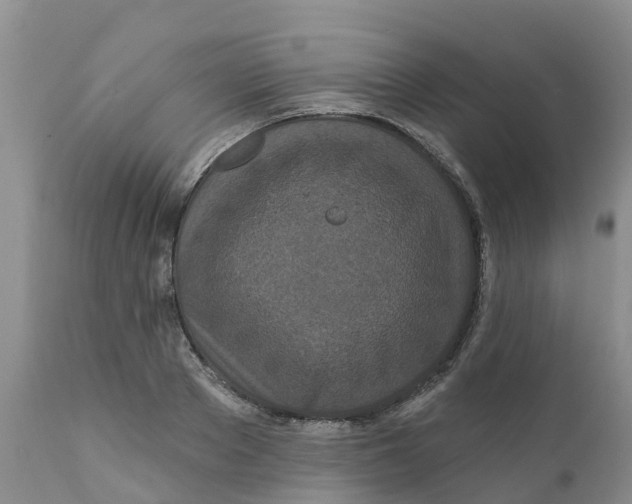 X0000111640889200908141404