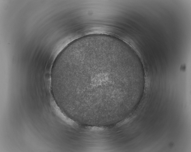 X0000111640890200908141404