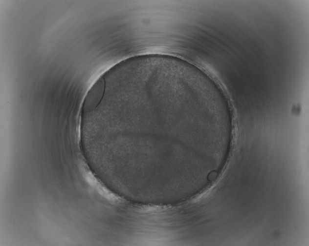X0000111640892200908141404