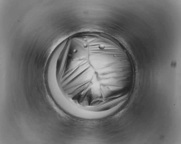 X0000111640893200908141404