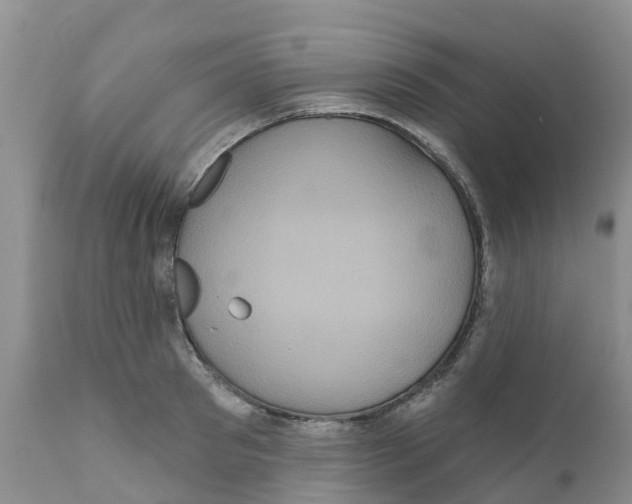 X0000111640897200908141404