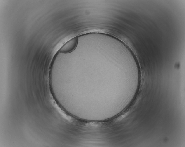 X0000111640898200908141404