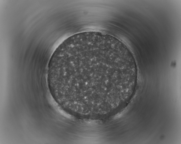X0000111640899200908141404