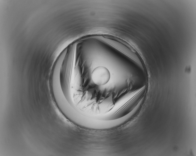 X0000111640901200908141404