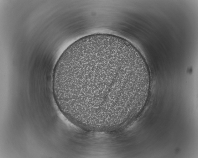 X0000111640903200908141404