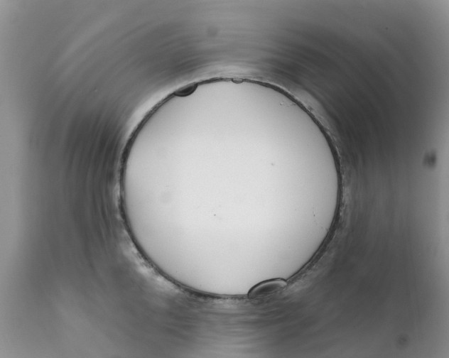 X0000111640904200908141404
