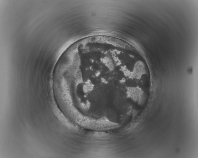 X0000111640907200908141404