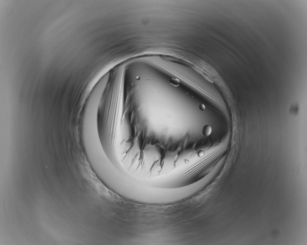 X0000111640908200908141404