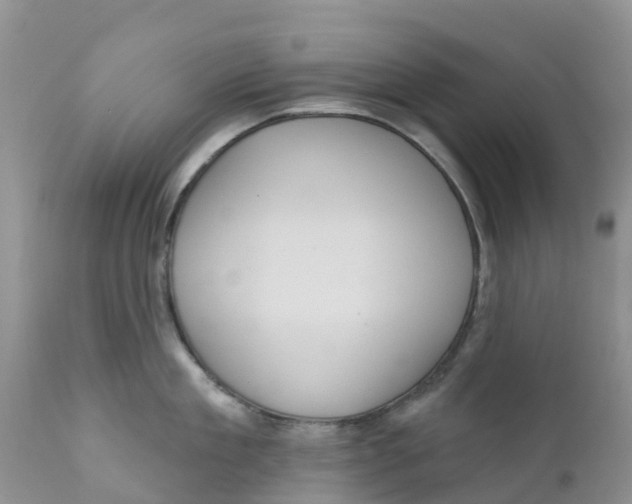 X0000111640909200908141404