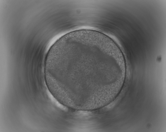 X0000111640910200908141404
