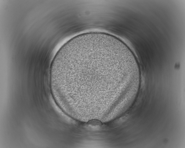 X0000111640911200908141404