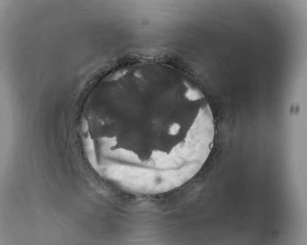 X0000111640913200908141403