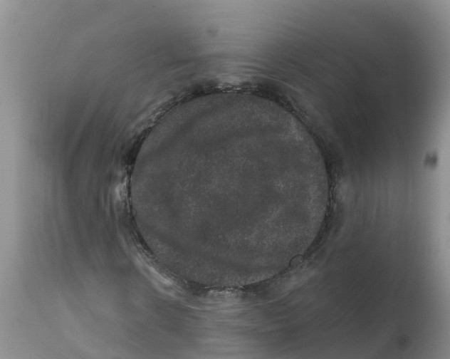 X0000111640914200908141403
