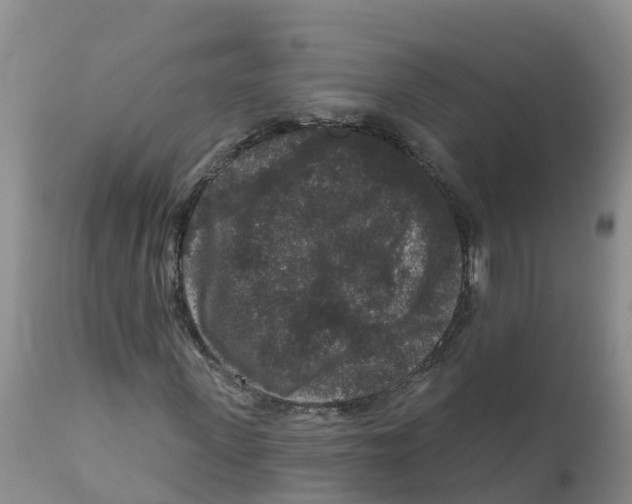 X0000111640915200908141403