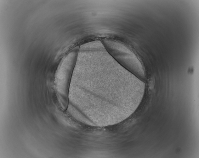 X0000111640916200908141403