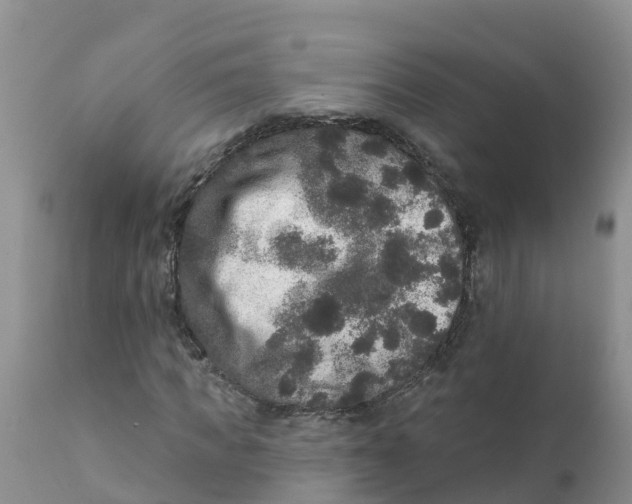 X0000111640917200908141403