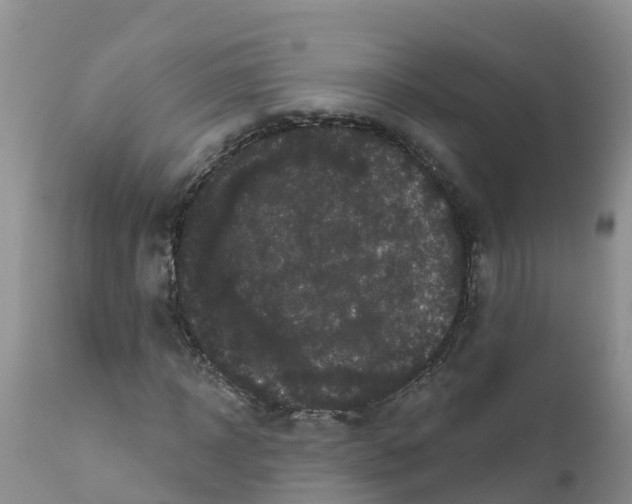 X0000111640918200908141403