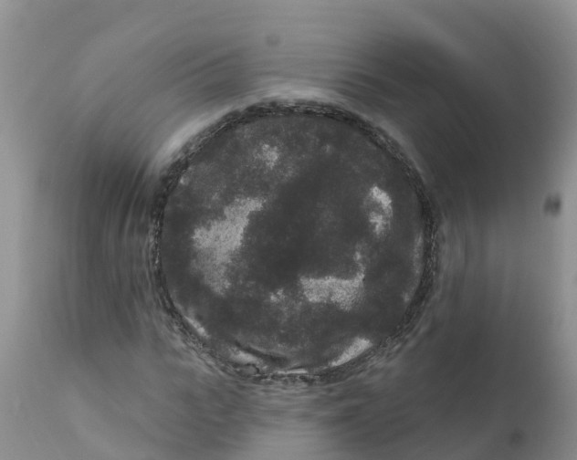 X0000111640919200908141403