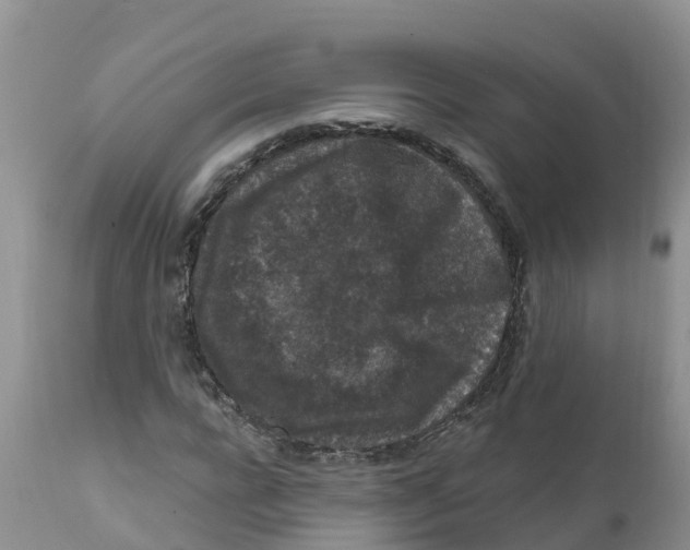 X0000111640920200908141403