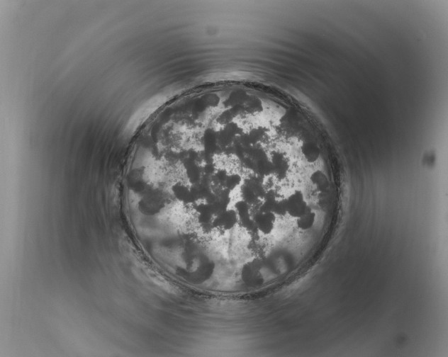X0000111640921200908141403