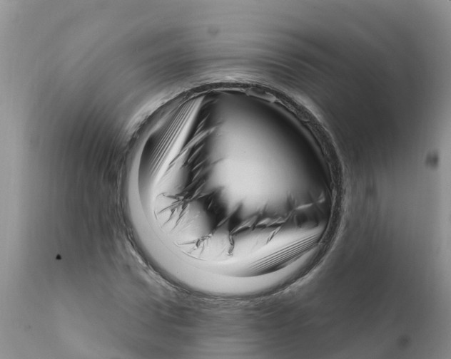 X0000111640922200908141403