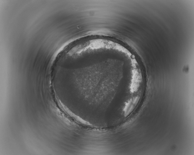 X0000111640923200908141403