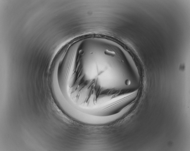 X0000111640924200908141403