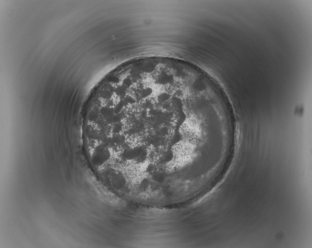 X0000111640925200908141403